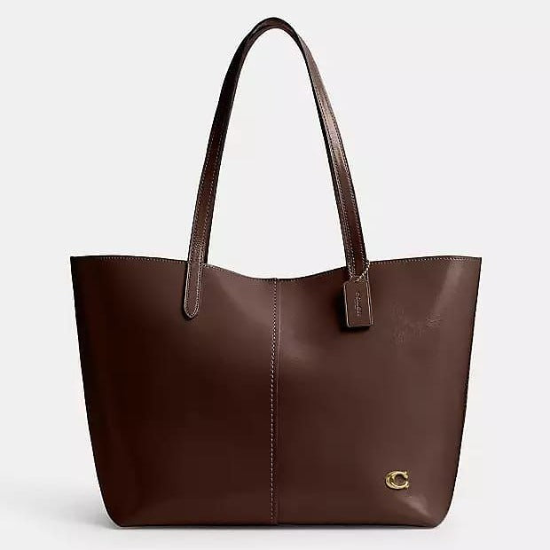 Coach North Tote Bag (Brown)